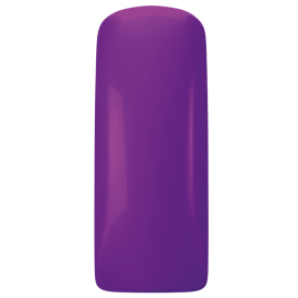  Magnetic Gelpolish  Lady Violet 