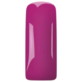 Magnetic Passionate Plum