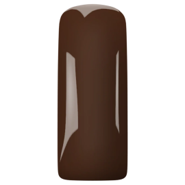 Magnetic Gelpolish Bette Brown TPO free 