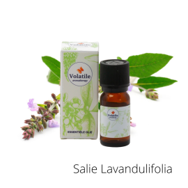 Volatile Salie Lavandulifolia 5 ml