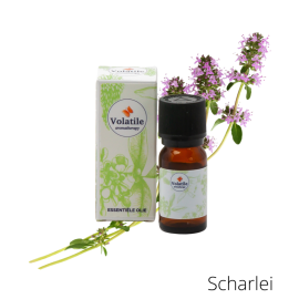 Volatile Scharlei