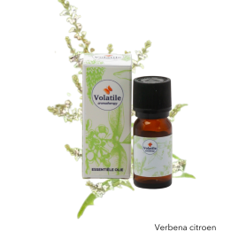 Volatile Verbena, citroen