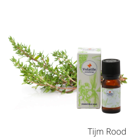 Volatile Tijm rood 
