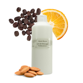 Lait de Massage (massage-milk) 500 ml