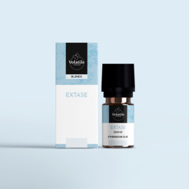 Volatile Extase 